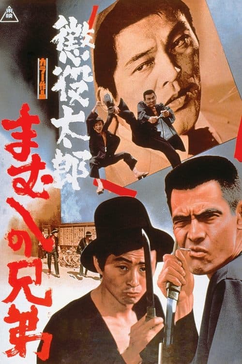Director's Movie Image