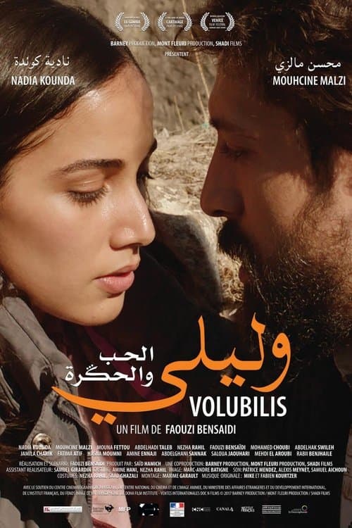 Director's Movie Image