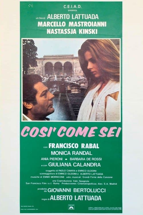 Director's Movie Image