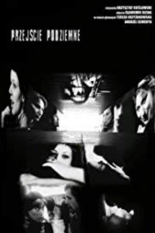 Director's Movie Image