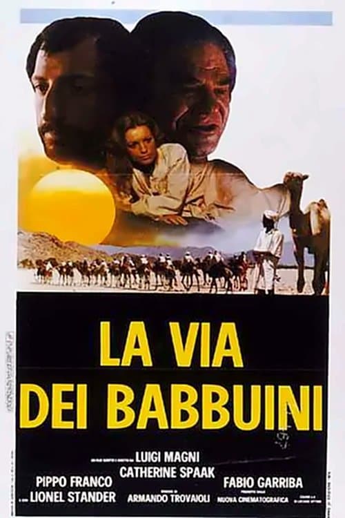 Director's Movie Image
