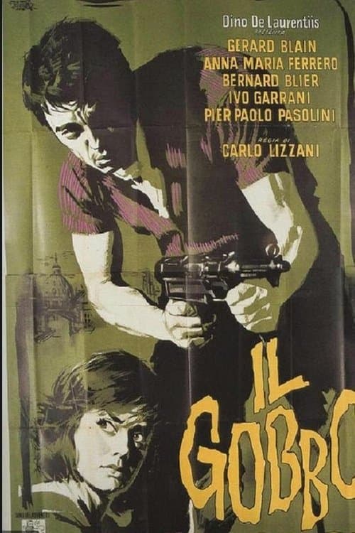 Director's Movie Image