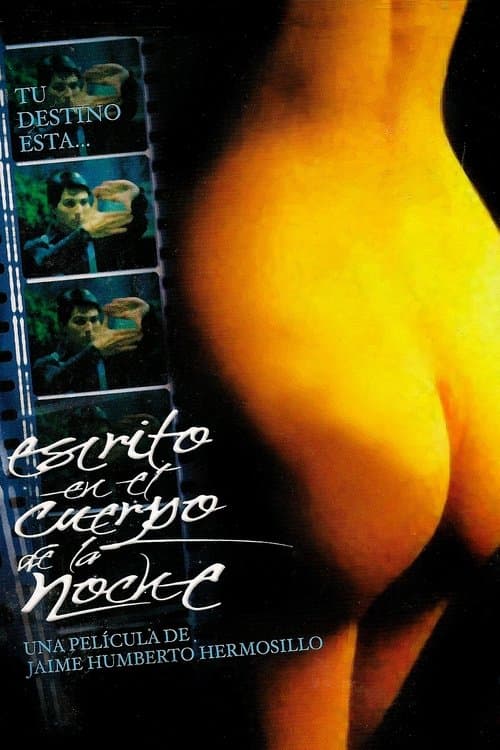 Director's Movie Image