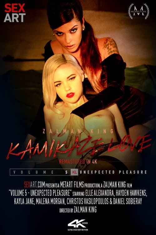 Director's Movie Image