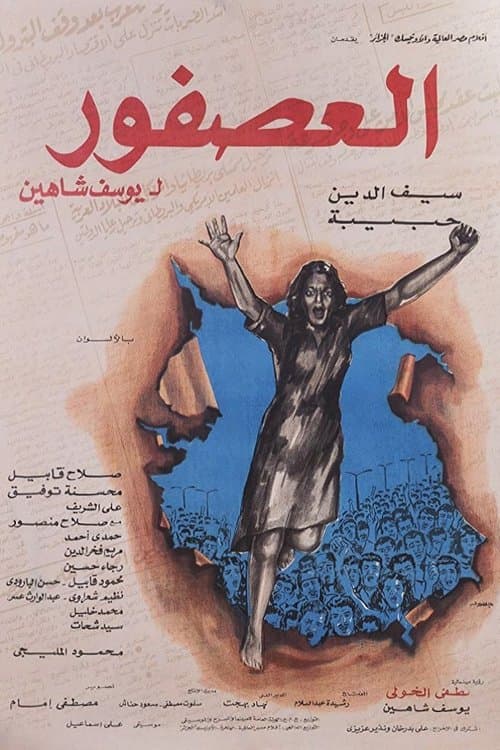 Director's Movie Image