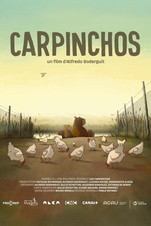 Director's Movie Image