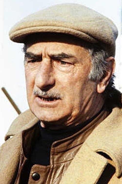 Cast's Movie Image