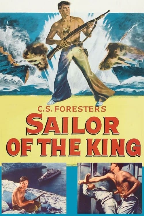 Director's Movie Image