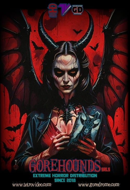 Director's Movie Image