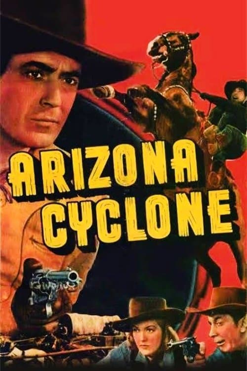 Director's Movie Image