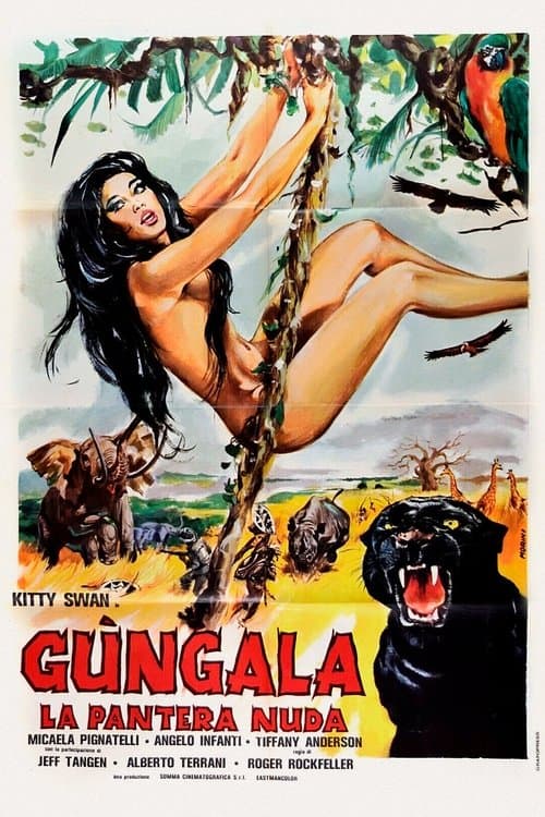 Director's Movie Image
