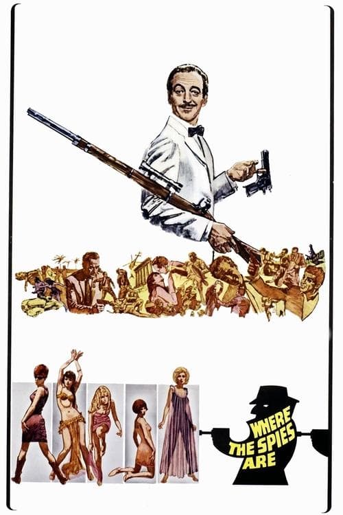 Director's Movie Image