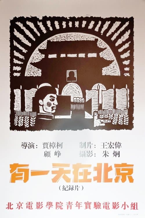 Director's Movie Image