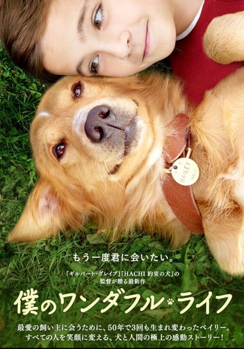 Director's Movie Image