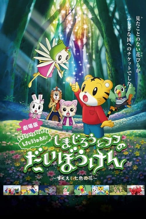 Director's Movie Image
