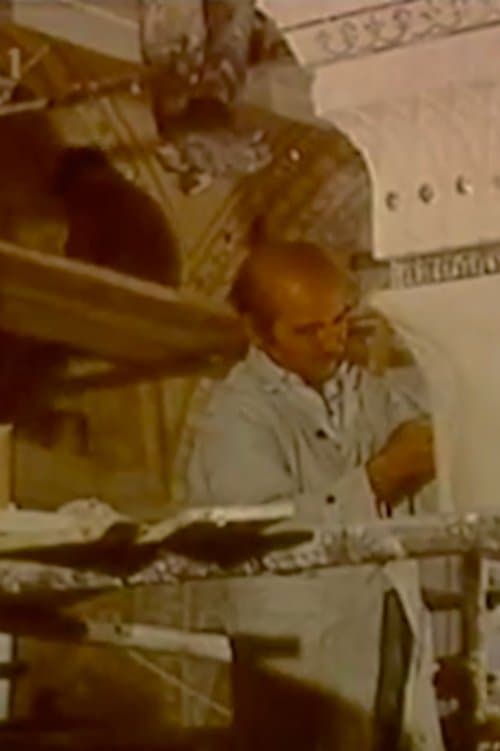 Director's Movie Image
