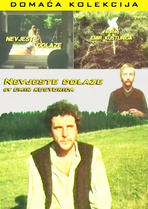 Director's Movie Image