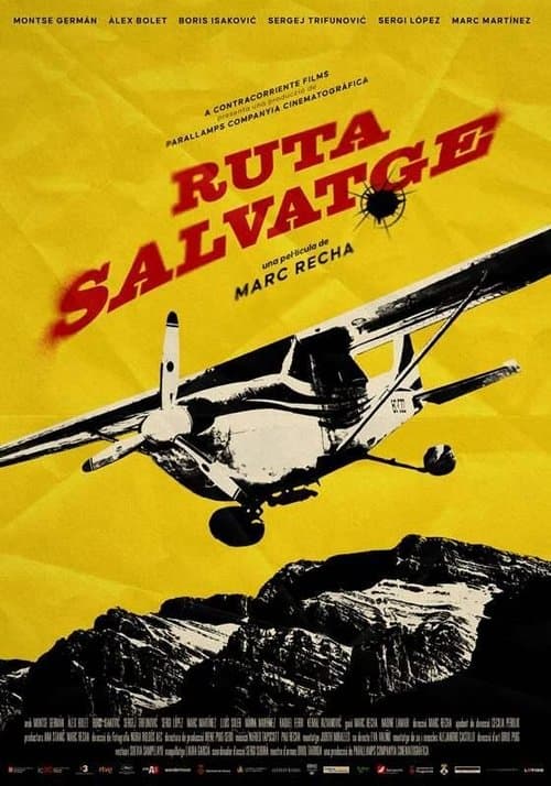 Director's Movie Image