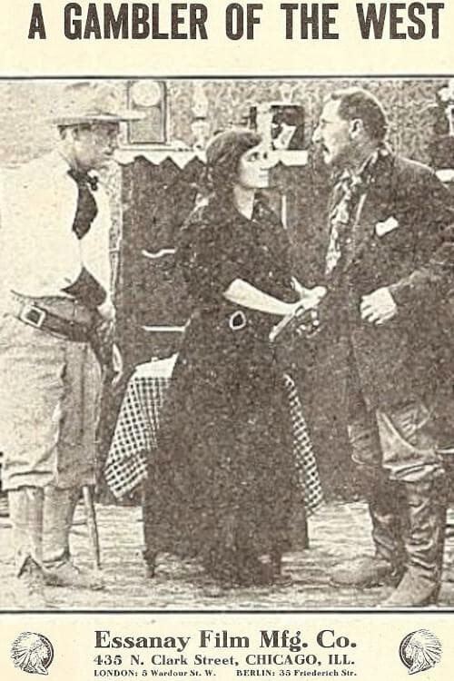 Director's Movie Image
