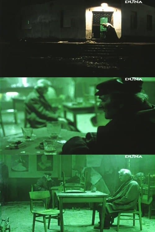 Director's Movie Image