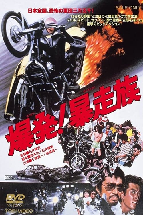 Director's Movie Image
