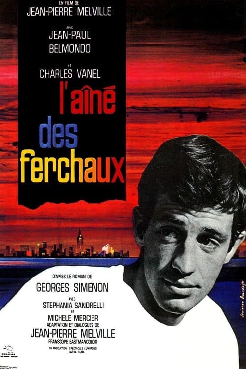 Director's Movie Image