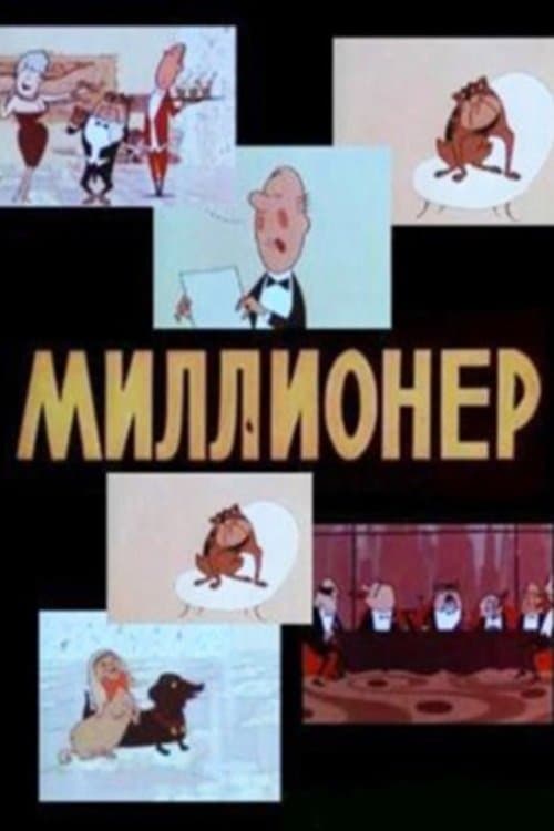 Director's Movie Image