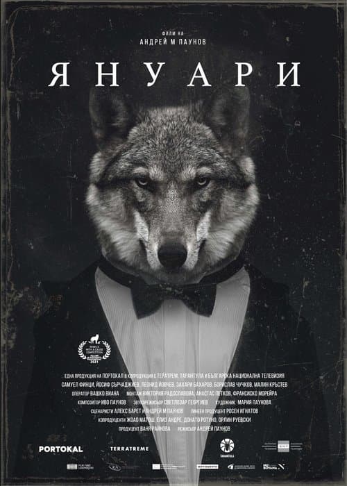 Director's Movie Image