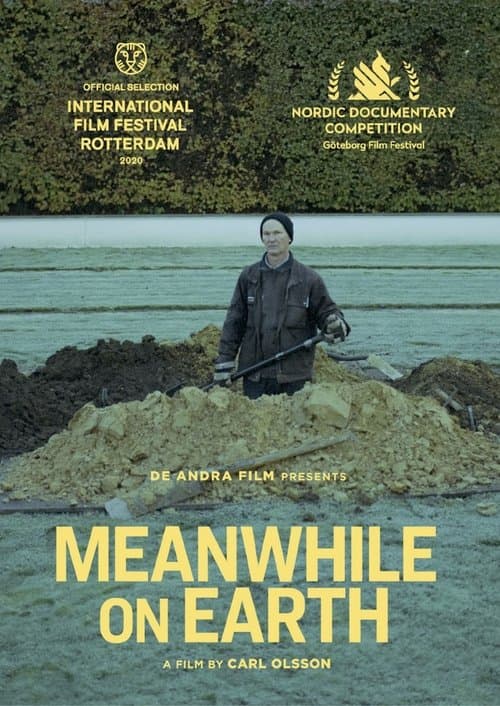 Director's Movie Image