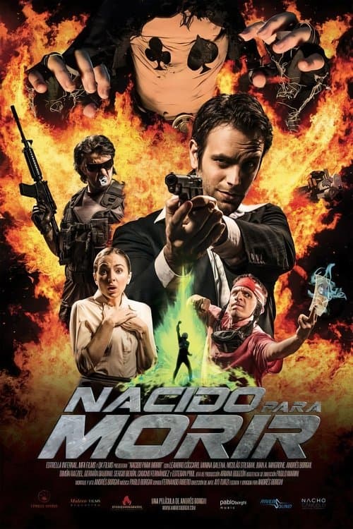 Director's Movie Image