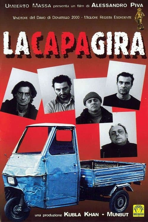 Director's Movie Image