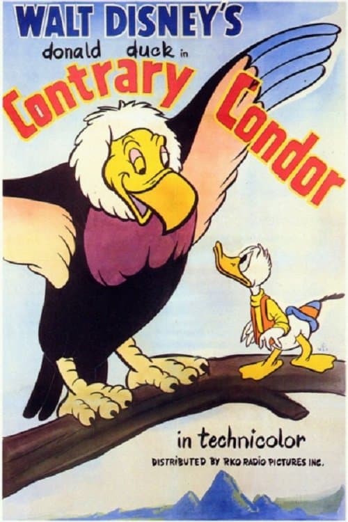 Director's Movie Image