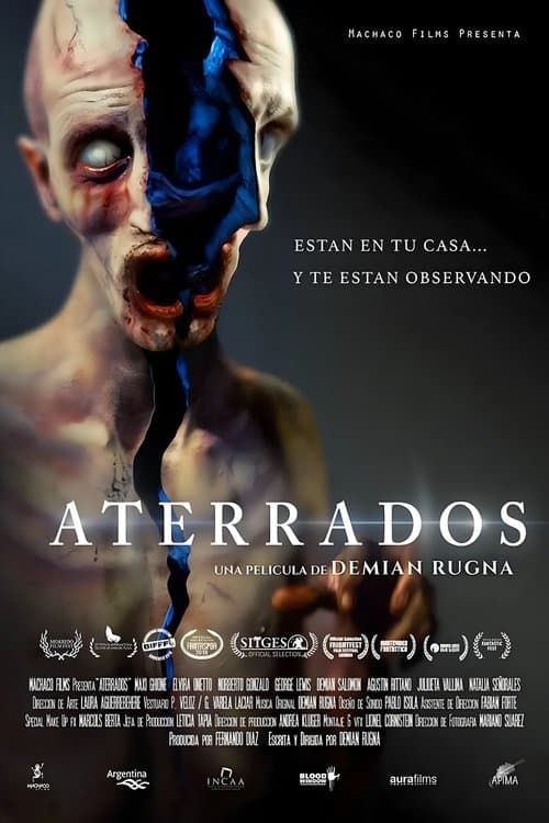 Director's Movie Image
