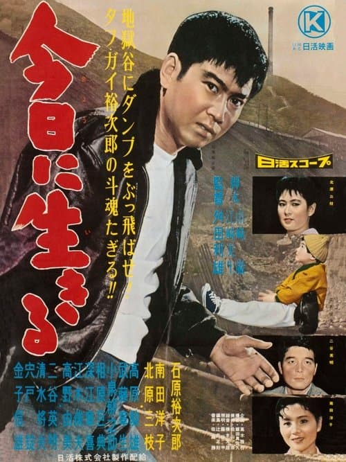 Director's Movie Image