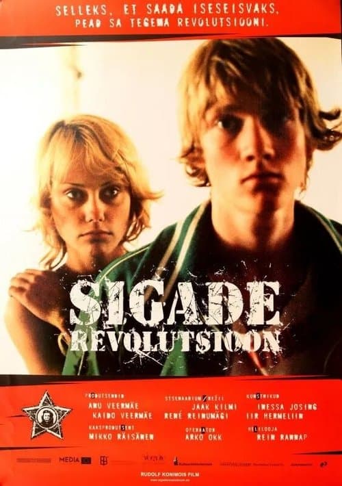 Director's Movie Image