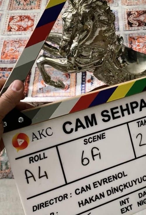Director's Movie Image