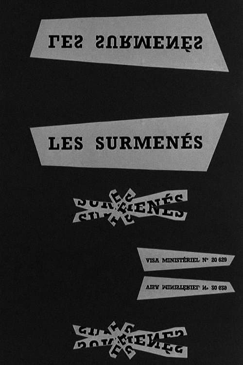 Director's Movie Image