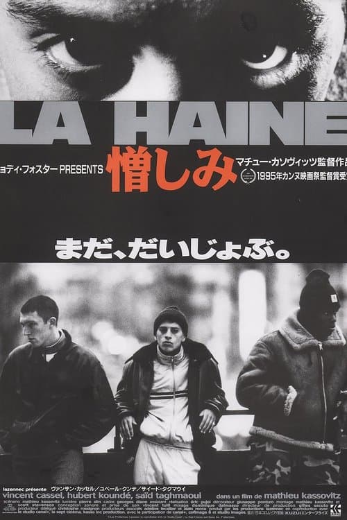 Director's Movie Image
