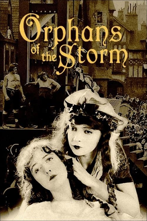 Director's Movie Image