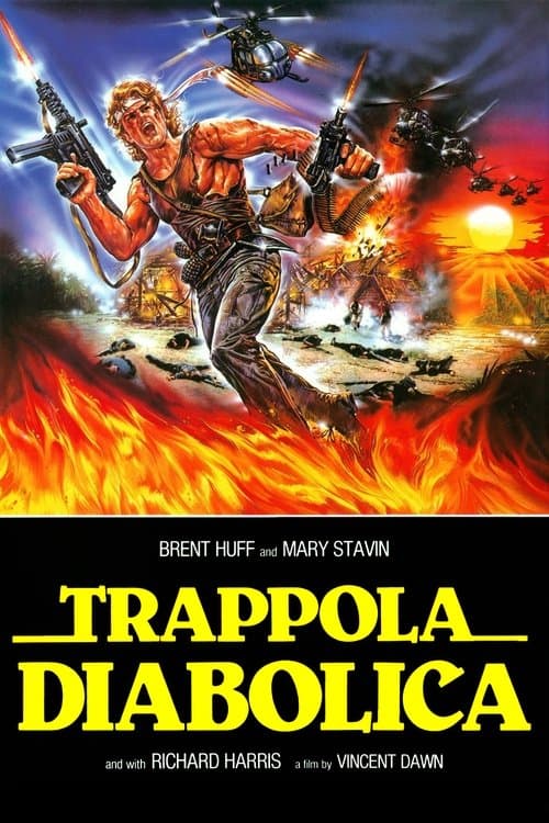 Director's Movie Image