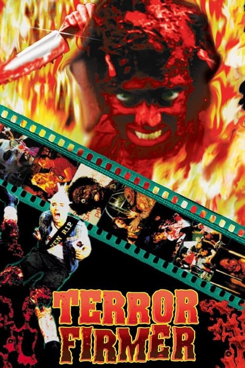 Director's Movie Image