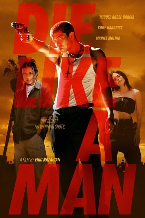 Director's Movie Image
