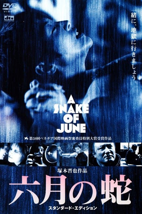 Director's Movie Image