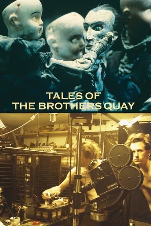Director's Movie Image