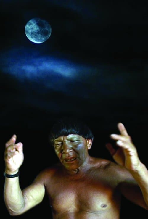 Director's Movie Image