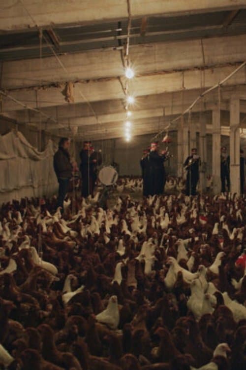 Director's Movie Image