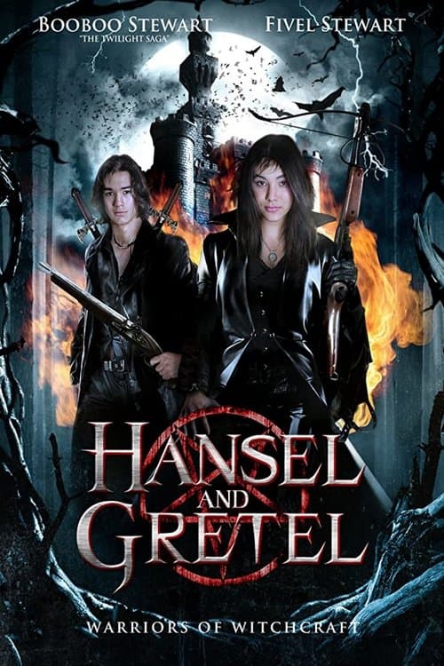 Director's Movie Image