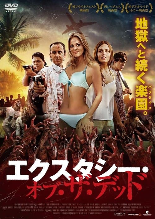 Director's Movie Image