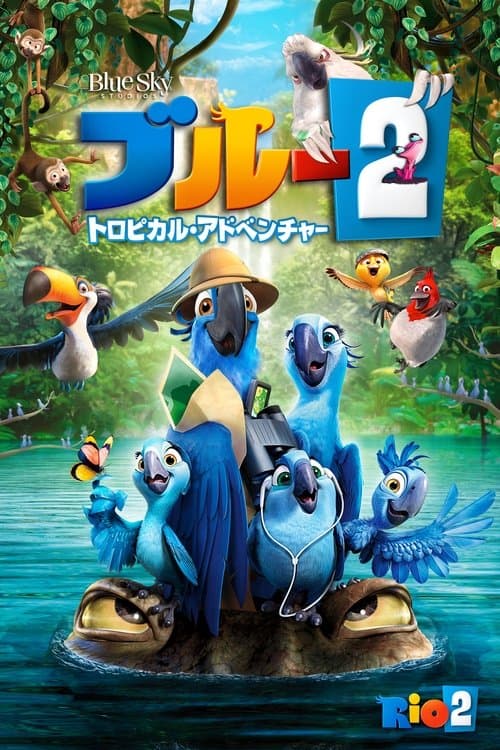Director's Movie Image