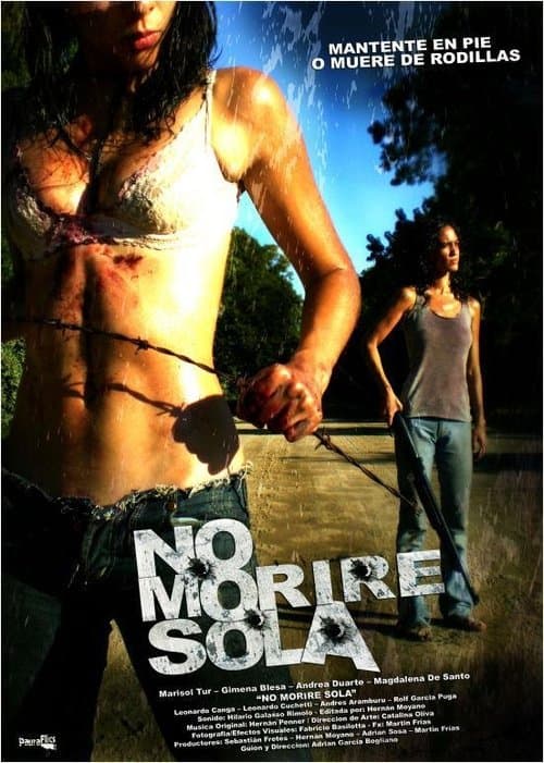 Director's Movie Image